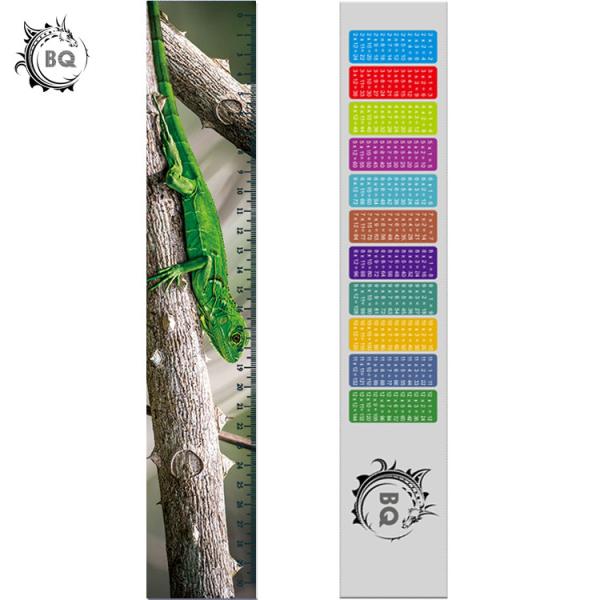 High Definition Motion 3D Lenticular Ruler Animal Design For Students