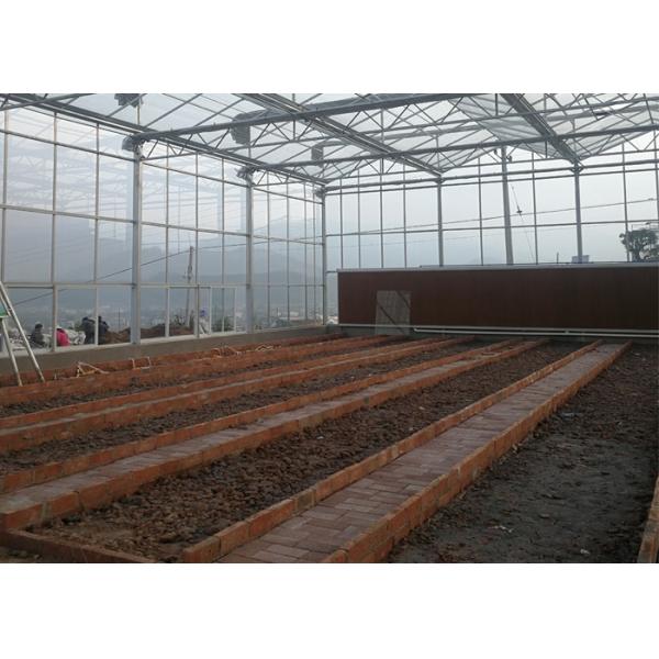 Remote Control Agricultural Greenhouse , Multi Span Glass Greenhouse For Tomato Production