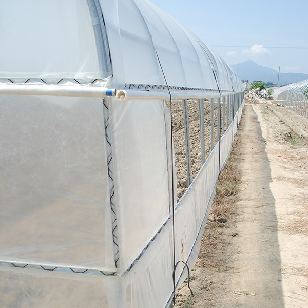 Pe Film Uv Resistant Greenhouse Plastic Sheet For Greenhouses