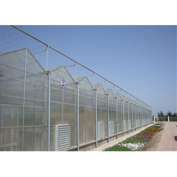 High Transparency PC Sheet Greenhouse Large Size Good Heat Preservation Performance