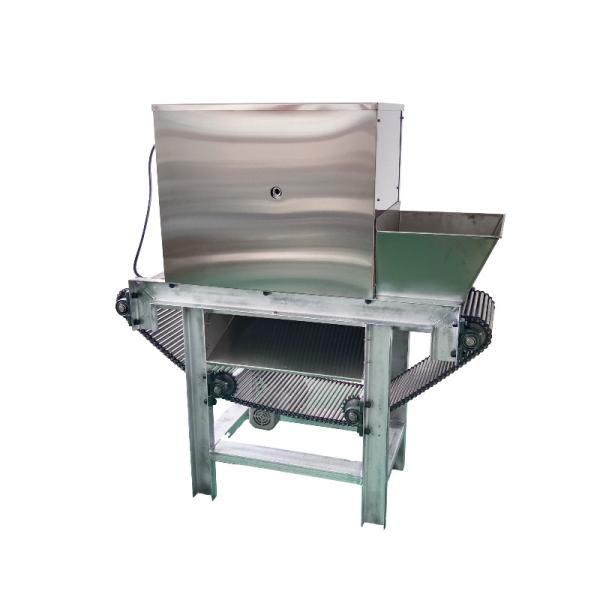 Low Noise Operation Environmental Protection Energy-Saving Chain Garlic Peeling Machine