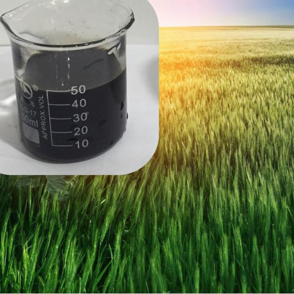 Liquid Compound Amino Acid Chelated Micronutrients Calcium Magnesium