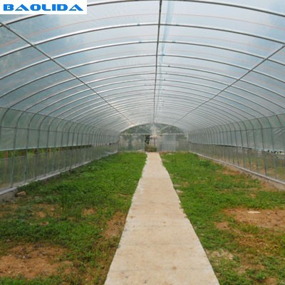 Anti UV Hot Dipped Galvanized Steel Frame Poly Film Greenhouse