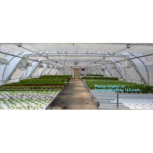small garden green house,Multispan Tunnel Greenhouse for Tomato Agricultural Green houses,fabric steel wire agriculture
