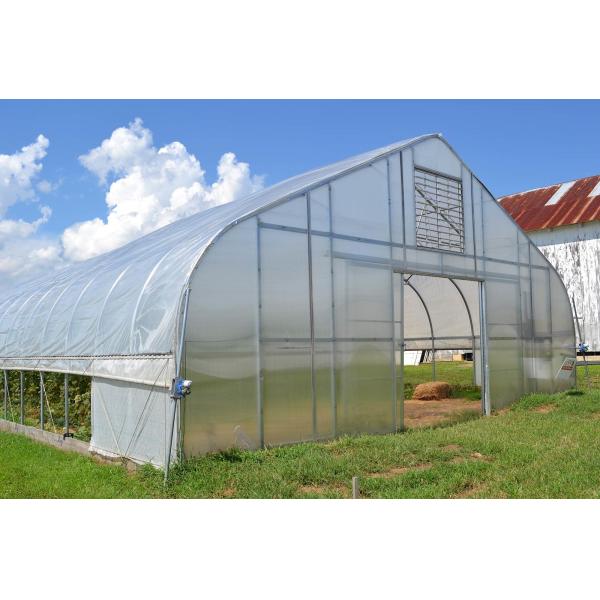 Single Tunnel PE Film Greenhouse Economic Type Vegetable Green House