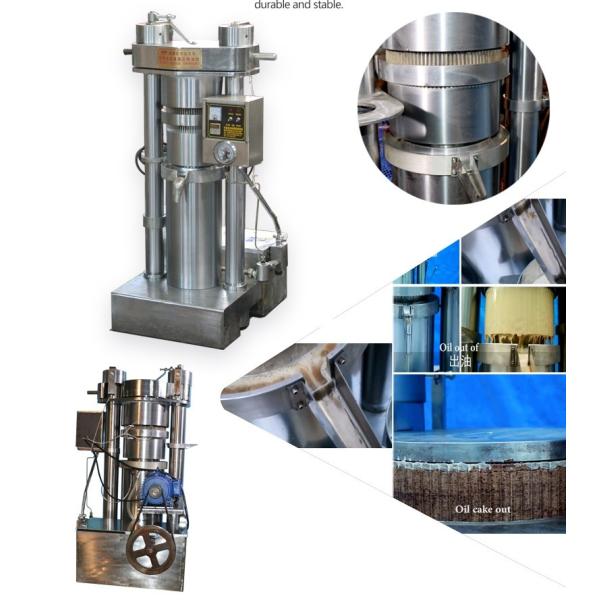 Automatic Sesame Industrial Oil Press Machine With Simple Operation