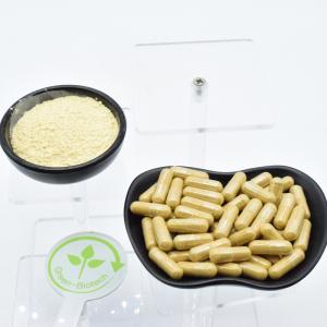  Red Korean Ginseng Root Extract Ginsenoside 80% Powder Manufactures