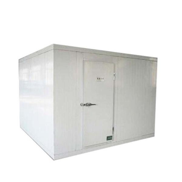Factory Best Quality Cold Room for Beef Meat Chicken Frozen Fish and Meat Cold Room with Polyurethane Panel