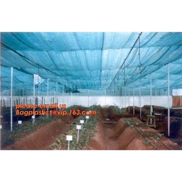 agriculture anti insect net on roll insect proof mesh for greenhouse,Greenhouse Anti Insect Netting /Agriculture Netting