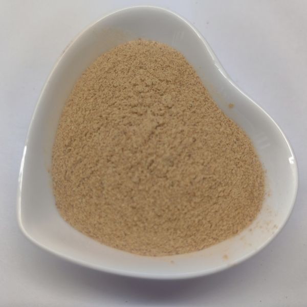 Cheap Price Brewer's Yeast Powder Poultry Protein Supplement Can Promoting the Appetite of Animals