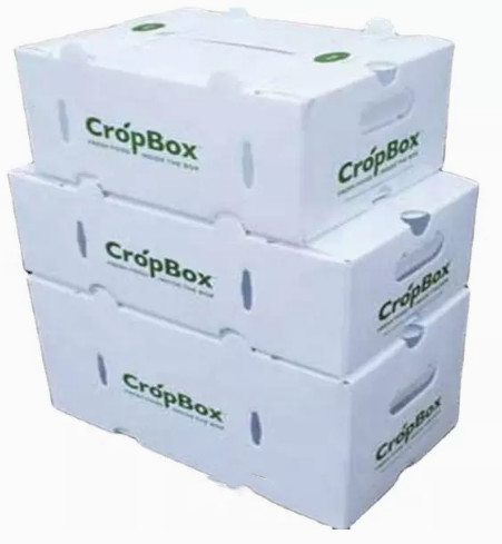Vegetables Fruit Packaging Boxes Corrugated Plastic Static Protective