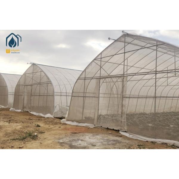 Commercial Large Agricultural Greenhouse UV Film Vegetable Hydroponic Greenhouse
