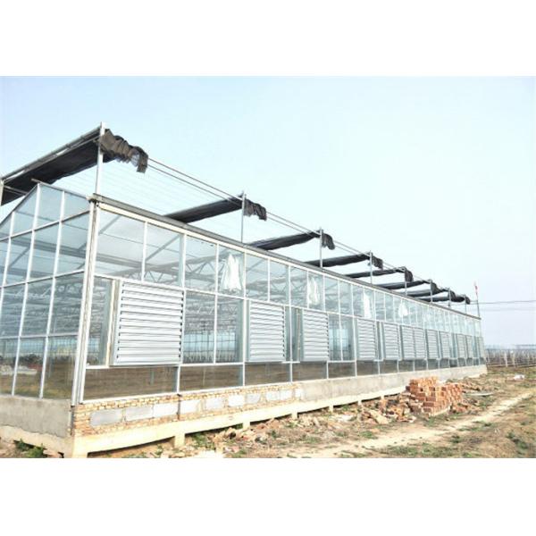 Simple Construction Agricultural Glass Greenhouse Venlo Type Greenhouse For Vegetables