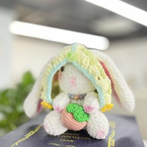 China DIY Knitting Strawberry Rabbit Crochet Kit For Beginners Adults And Kids With Yarn on sale