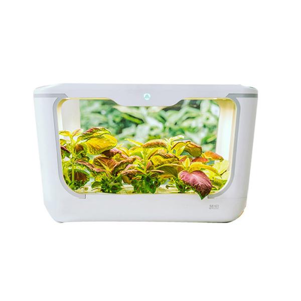 Agricultural PP 24V Home Hydroponic Growing Systems
