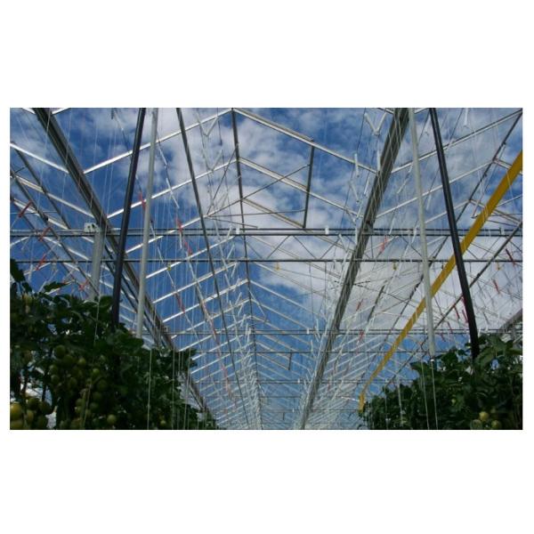 Clear Agricultural Greenhouse ,  PE PC Plastic Film Greenhouse Customized Length