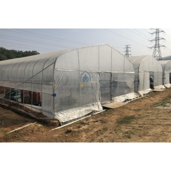 Customized Size Durable Agricultural Tunnel Type Greenhouse Solar Dryer Greenhouse with UV Treated Plastic Film