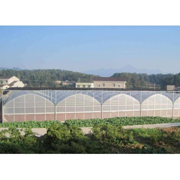 Fruits Flower 8m Single Span PE Plastic Film Greenhouse