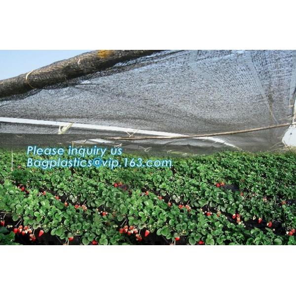 sun shade net,weel contol net,greenhouse film,fibc bag,Cheap Weed Control Fabric/Heavy Duty Weed Mat/Landscape Barriers