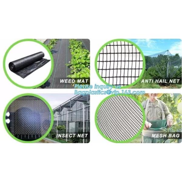 Best-selling product agricultural product fruit fly nets /vegetables anti fly net /greenhouse anti insect net for agricu
