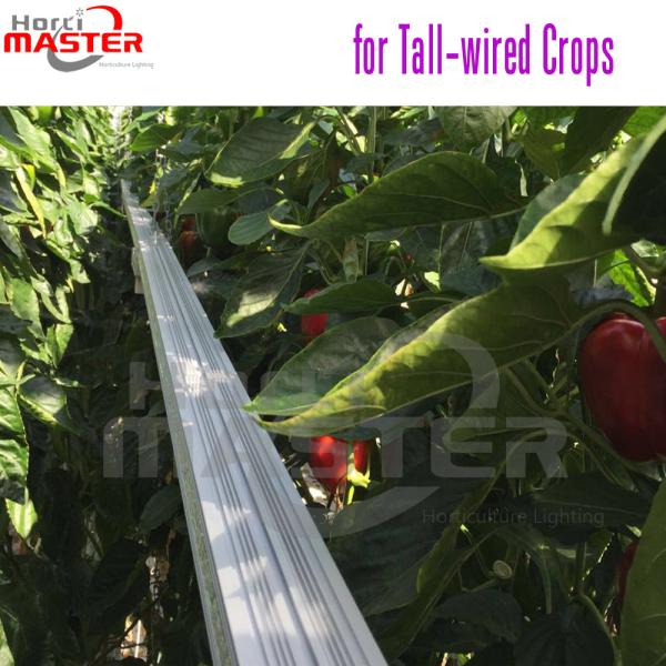 Anodizing LED Grow Lights Greenhouse 60Hz 3D Inter Lighting Lamp For Indoor Plants