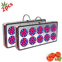  3 watt led bulb,led grow lighting for hydroponic grow tent Manufactures