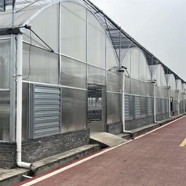 Strong Structure Heavy Duty Plastic Greenhouse / Plastic Tomato Greenhouse