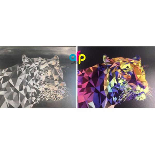 Professional Supplier Cold Stamping Digital Foil With High Efficiency And Quality