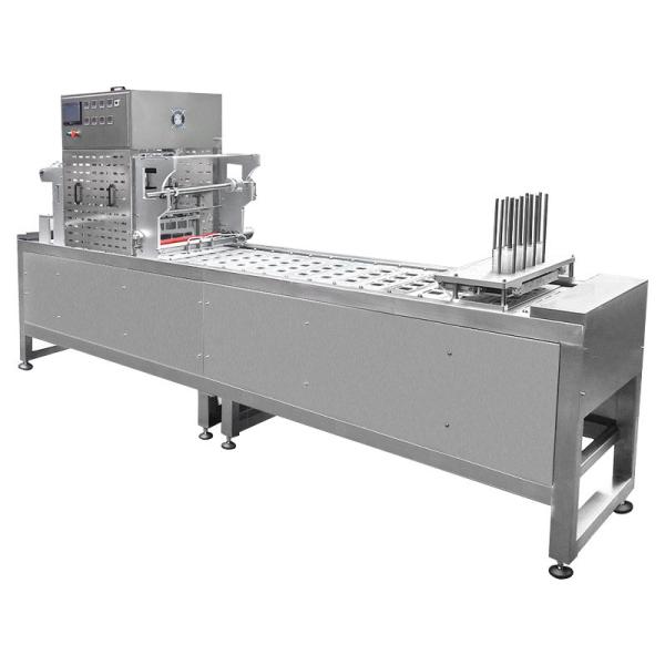 Multi Function Premade Vegetables Food Filling Sealing And Packaging Machines