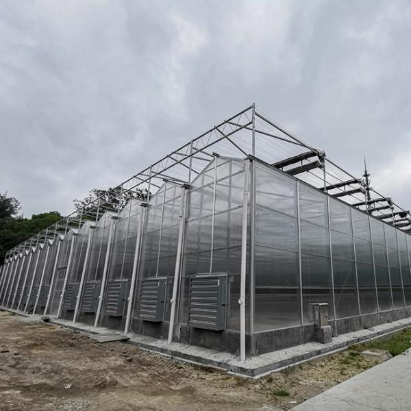 Good Thermal Insulation Venlo Polycarbonate Sheet PC Panel Greenhouse