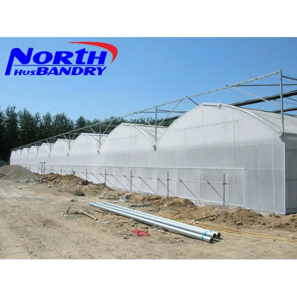 agricultural poly film greenhouse for sale in China