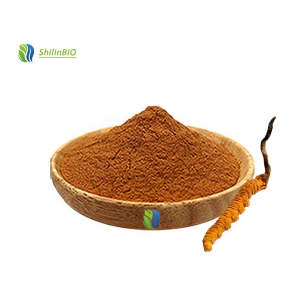 Cordyceps Sinensis Extract Powder 30-50% Cordyceps Polysaccharide