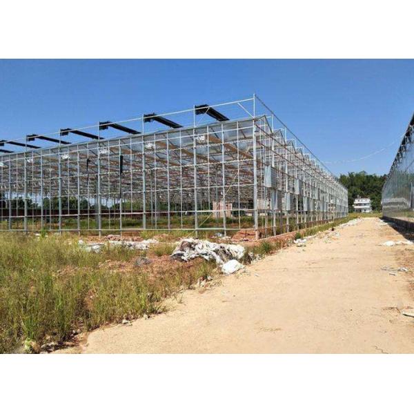 Integrated Tunnel Polycarbonate Agricultural Greenhouse