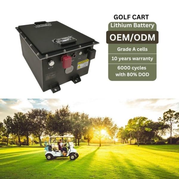 48v Lithium Ion Golf Cart Battery Deep Cycle Club Car Lithium Batteries Lightweight Design