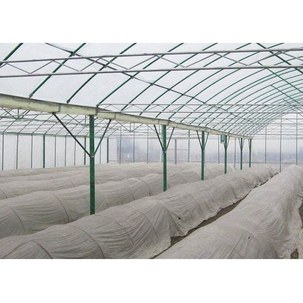 Irrigated Clear Cooling Poly Plastic Film Greenhouse