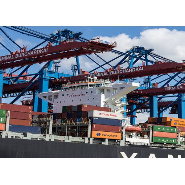 Safe International Sea Freight Forwarding From Shenzhen To Saudi Arabia