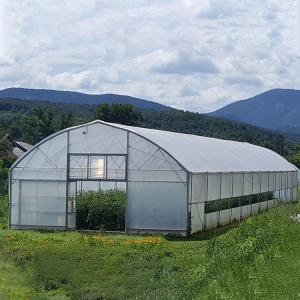  Agriculture High Tunnel Film Roller Clear Greenhouse Cover Plastic Film Single Tunnel Greenhouse Manufactures