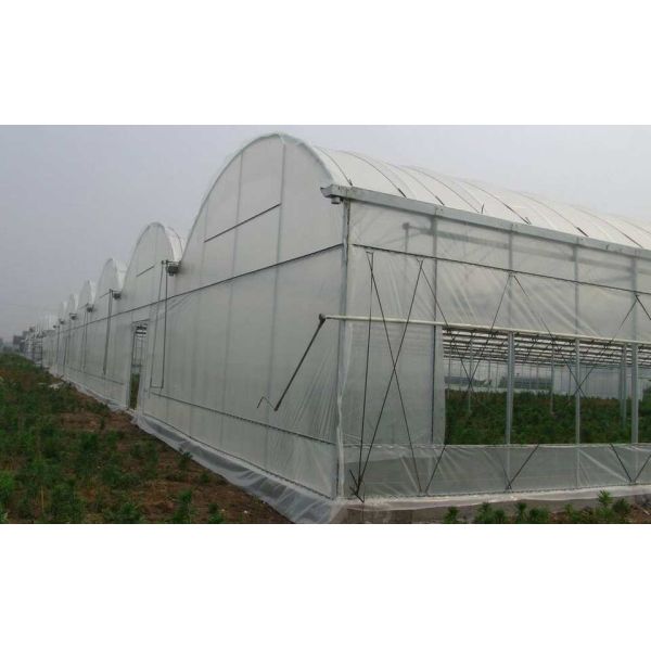 100 Micron PE Film Greenhouse Single Layer Plastic Tunnel Greenhouse