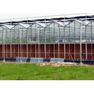 Glass Greenhouse