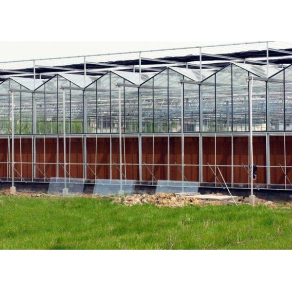 Steel Vegetables Hydroponic Multi Span Glass Greenhouse