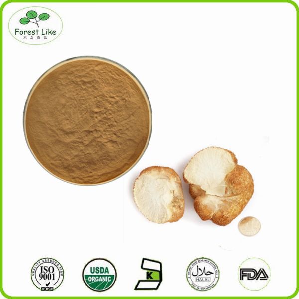 Hot Selling Dried Reishi Mushroom Extract Ganoderma