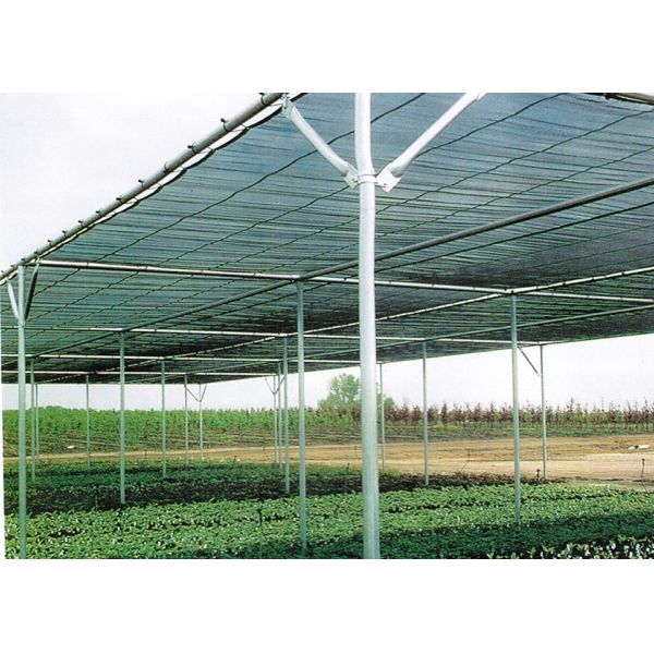 Customized Insect Protection Shade House Greenhouse Garden Shade House