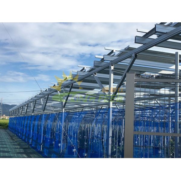 6000mm Agricultural Greenhouses Photovoltaic Mounting System Farm Shed