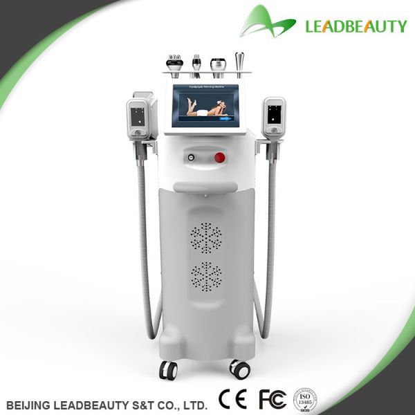 Non-invasive best Body Slimming/Body shaping Machine Cryolipolysis
