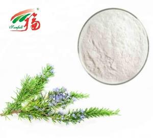  90% - 98% Rosmarinic Acid Powder / Rosemary Antioxidant Extract For Pharmaceutical Manufactures
