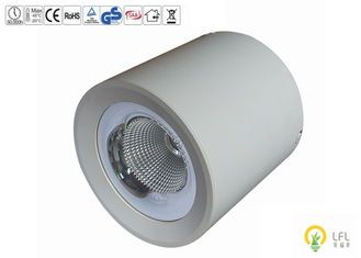 Commercial LED Outdoor Lighting Lumen 10000lm Power Consuption 30W CRI 80 for Outdoor Environments