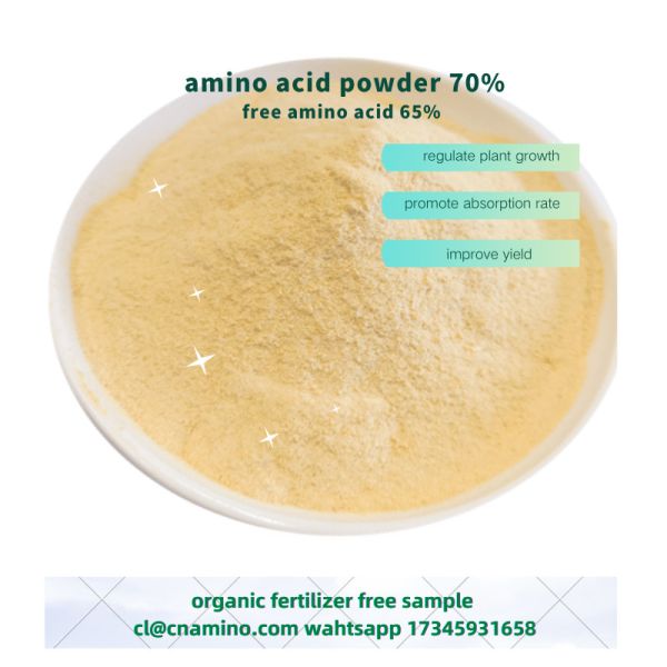 Foliar Amino 70% With Free Amino Acid 65% Agriculture Fertilizer Powder Form For Farming Plants