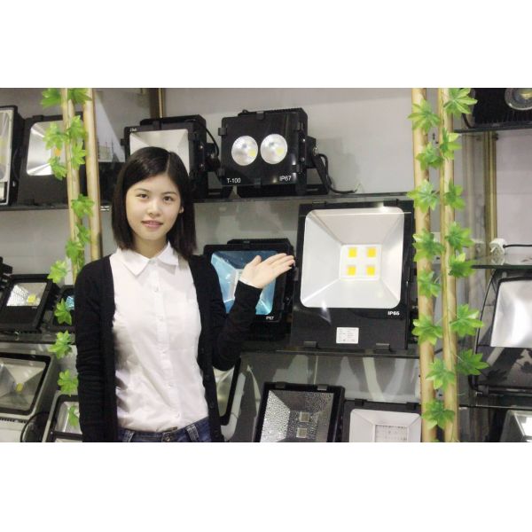 ADO ELECTRONICS LIMITED