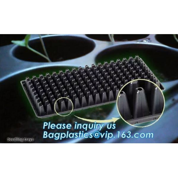 PET Plastic Vegetable Plant Grow Seedling Bed Trays Nursery Plug Tray,128 holes seedling starter trays, greenhouse grows