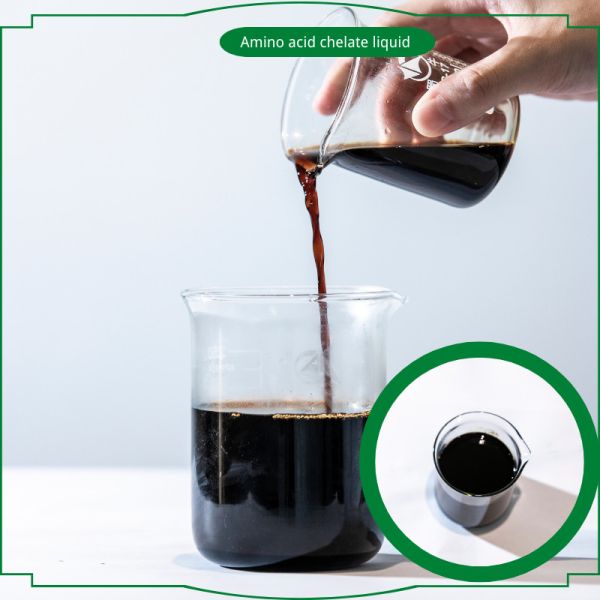 Organic Amino Acid Chelated Fertilizer Plants Source Amino Acid Chelate Zn Fe B Mn Cu